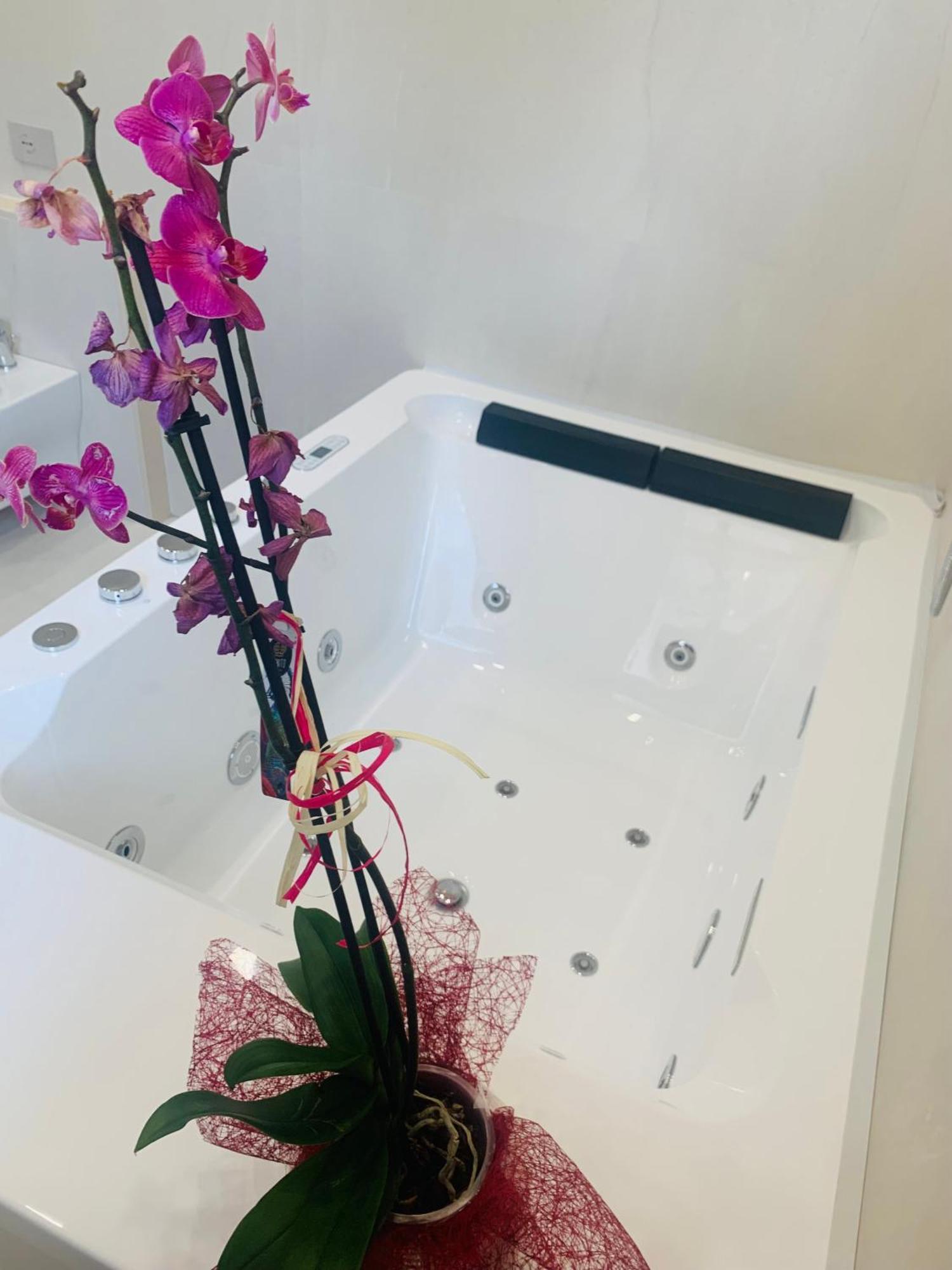 Bed and Breakfast Il Balcone Relais Minervino Murge Esterno foto